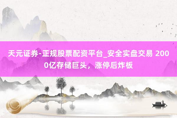 天元证券-正规股票配资平台_安全实盘交易 2000亿存储巨头，涨停后炸板