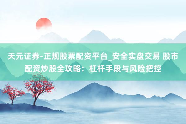 天元证券-正规股票配资平台_安全实盘交易 股市配资炒股全攻略：杠杆手段与风险把控