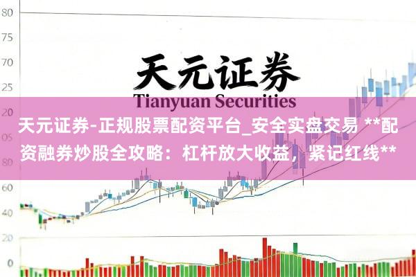 天元证券-正规股票配资平台_安全实盘交易 **配资融券炒股全攻略：杠杆放大收益，紧记红线**