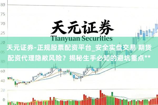 天元证券-正规股票配资平台_安全实盘交易 期货配资代理隐敝风险？揭秘生手必知的避坑重点**